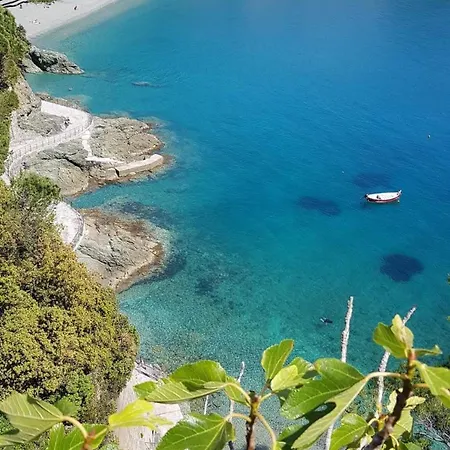 Il Paradiso Di Adriana