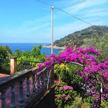 Lägenhet Il Paradiso Di Adriana *