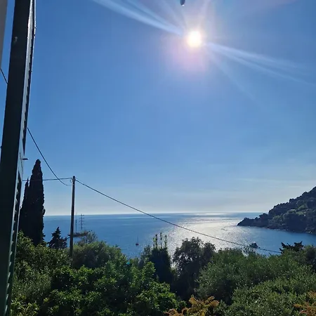 Il Paradiso Di Adriana