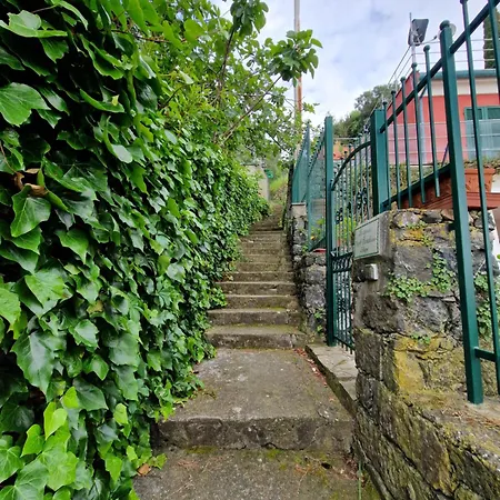 Il Paradiso Di Adriana Bonassola