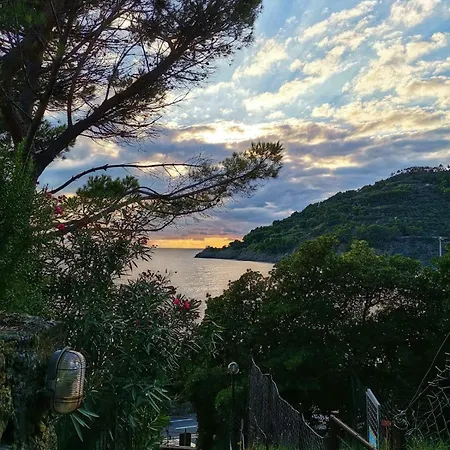 Il Paradiso Di Adriana